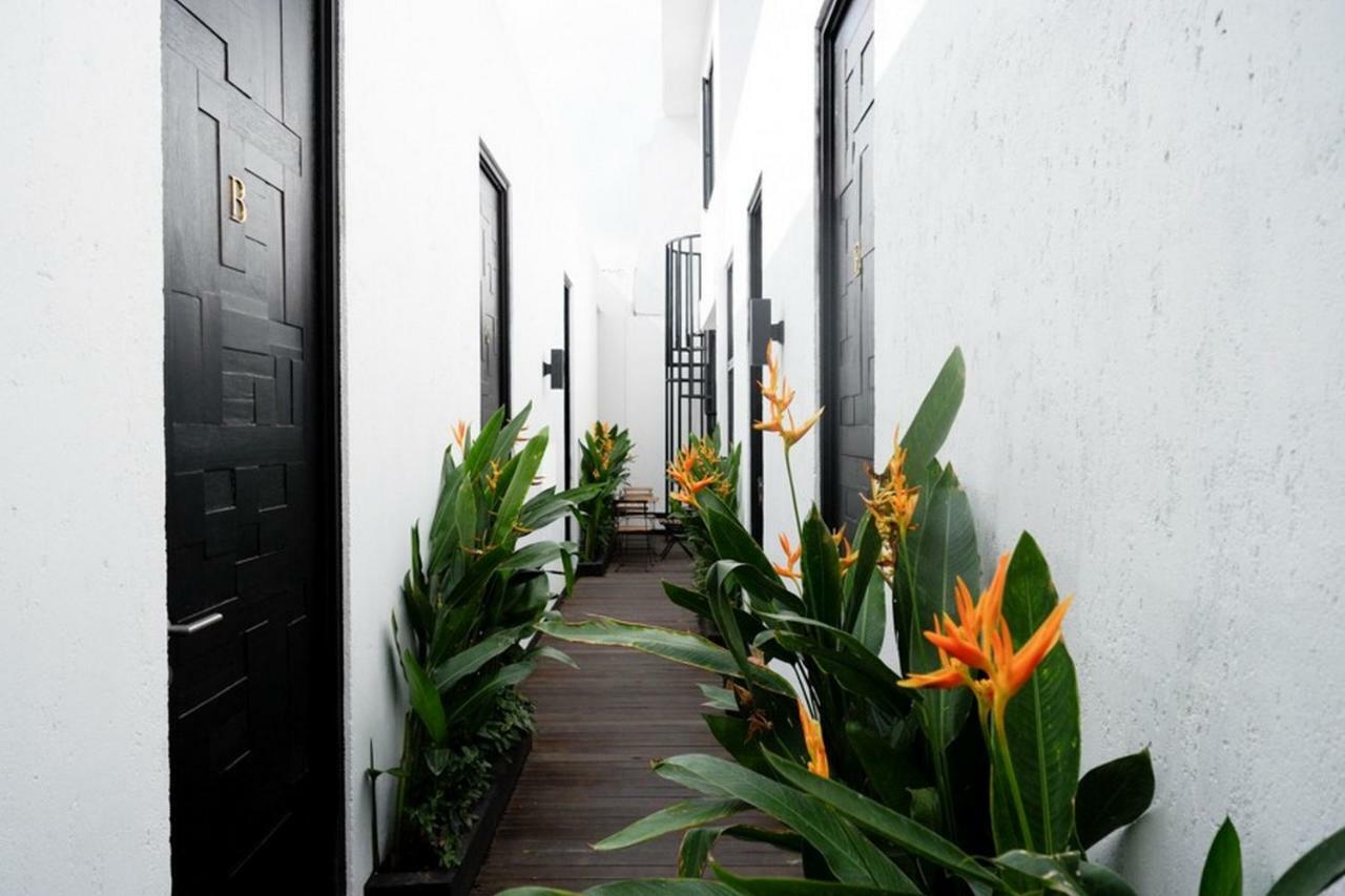 Reddoorz @ Jalan Raya Semat Canggu Hostel Μπαλί Εξωτερικό φωτογραφία